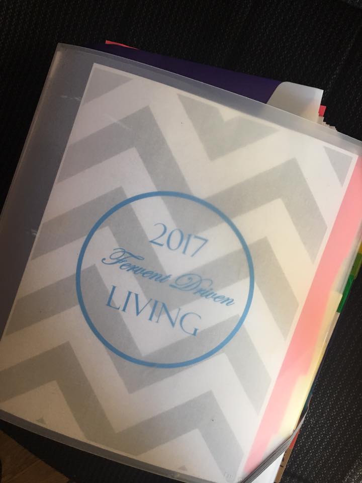 Planting Seeds Of Faith_How Single Moms Walk By Faith_Live Your Dreams Out Loud_Single Parents Have Faith_Single Moms_Single Dads_Single family_Prayer works_God will restore you_Financial Steps For The Single Parents_u_faith life goals binder_plan your life and dreams_life coach calendar